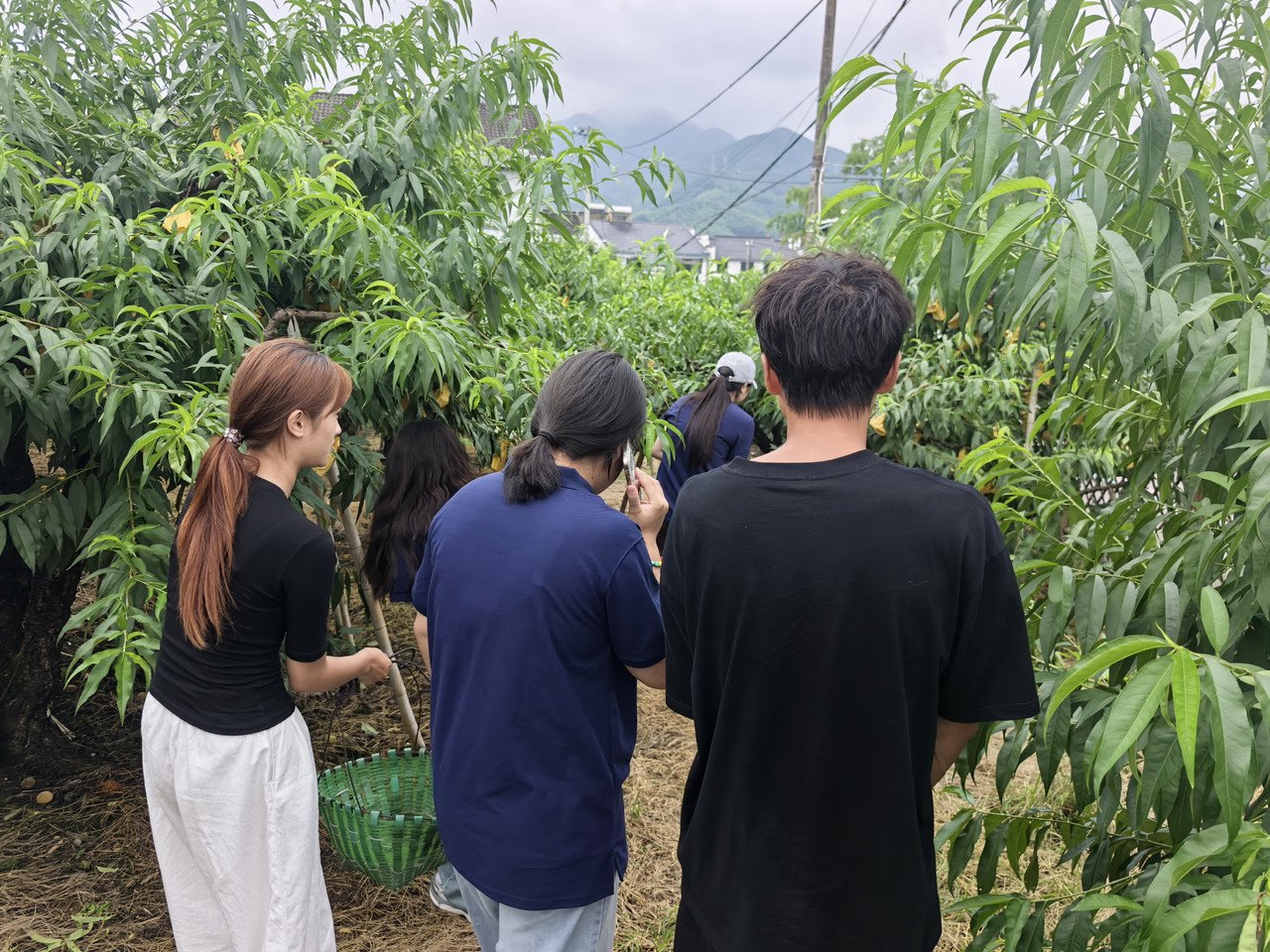 继续了解团队成员们利用会展
