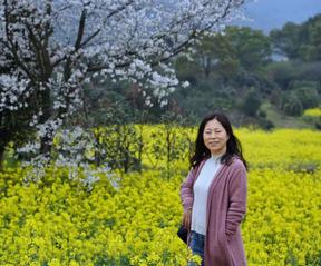 可改走栏目列表继续查找