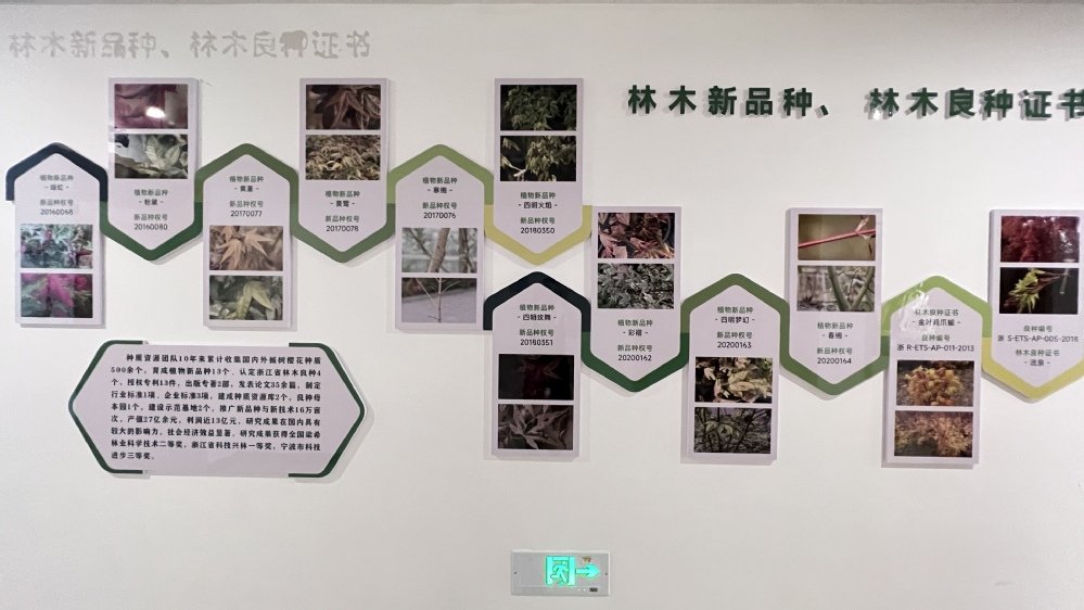 同题参见