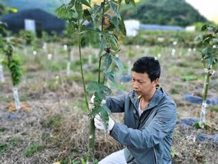 若从搜索引擎进入