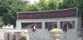 实训基地 | 印象晚会 | 机构设置
