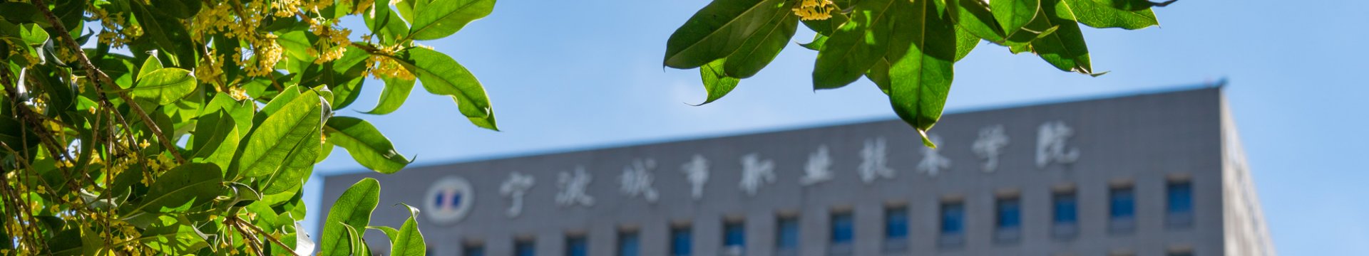 地址：浙江省宁波市高教园区学府路9号